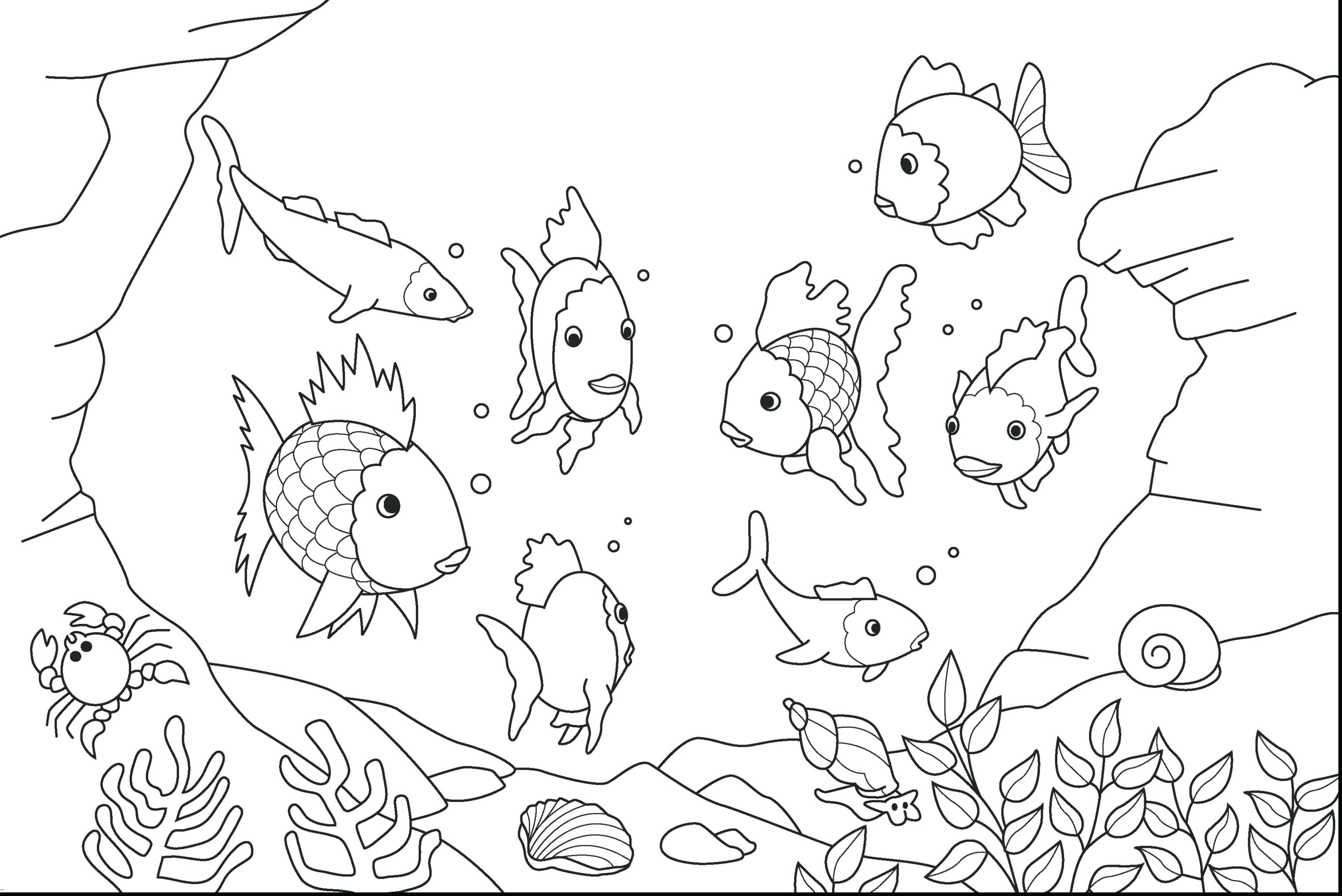 3724x2486 Coloring For Kids Pages Ocean Animals Pdf Free Sheets Sea