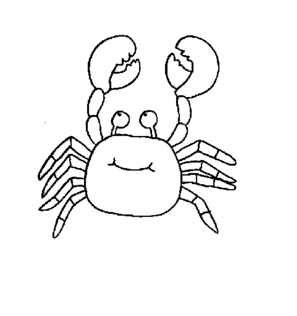 612x652 Ocean Animal Coloring Pages