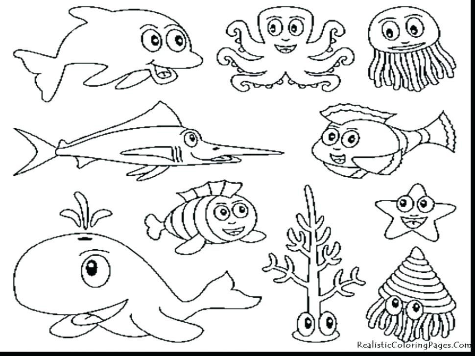 970x727 Printable Animal Coloring Pages Animal Coloring Book Pages Sea