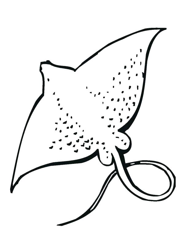600x776 Animal Coloring Book Pages As Well As Coloring Pages Of Sea
