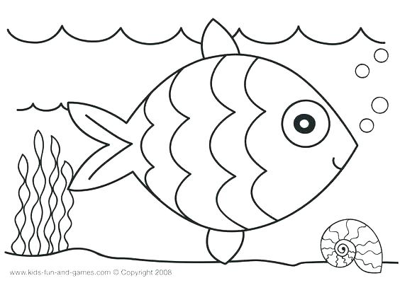 564x400 Nice Decoration Ocean Animals Coloring Pages Sea Animals Printable