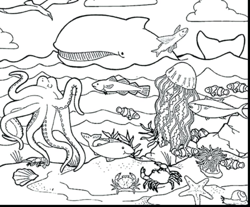 945x785 Sea Creatures Coloring Page