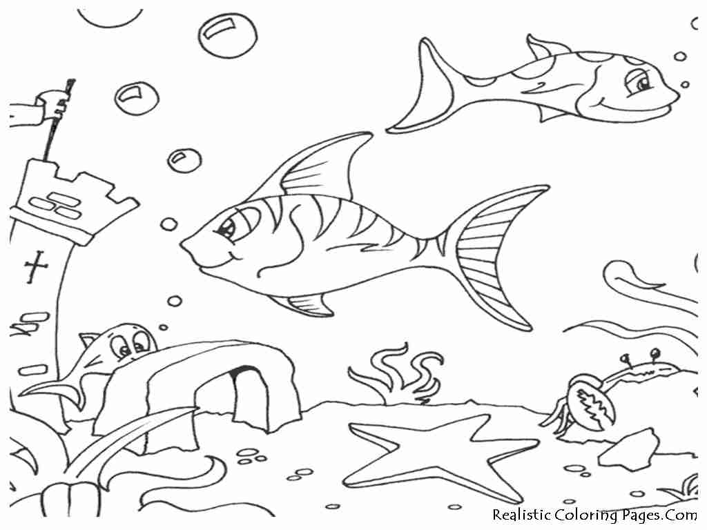 1024x768 Under The Sea Coloring Pages For Preschool Archives In Auto