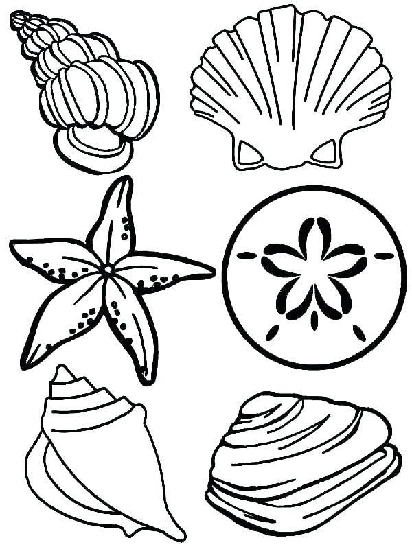 600x800 Coloring Pages Of The Ocean Detailed Adult Coloring Pages Ocean