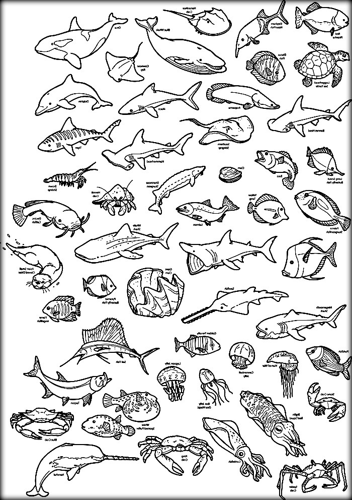 700x992 Deep Sea Coloring Pages