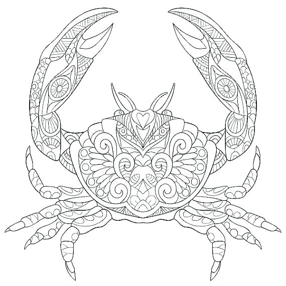 570x570 Digital Coloring Pages Camera Coloring Page Digital Coloring Pages