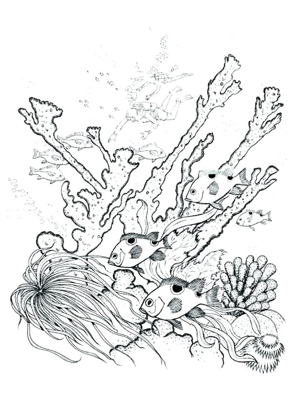 600x840 Coral Reef Coloring Pages Coral Color Sheets Coral Reef Coloring