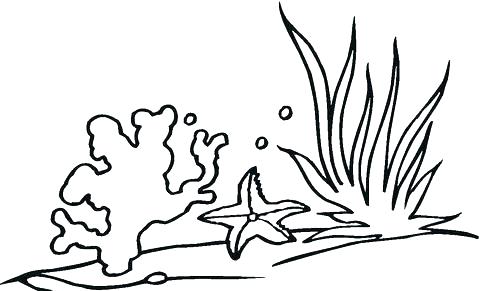 480x291 Coral Coloring Pages Coral Coloring Pages Ocean Plants Coloring