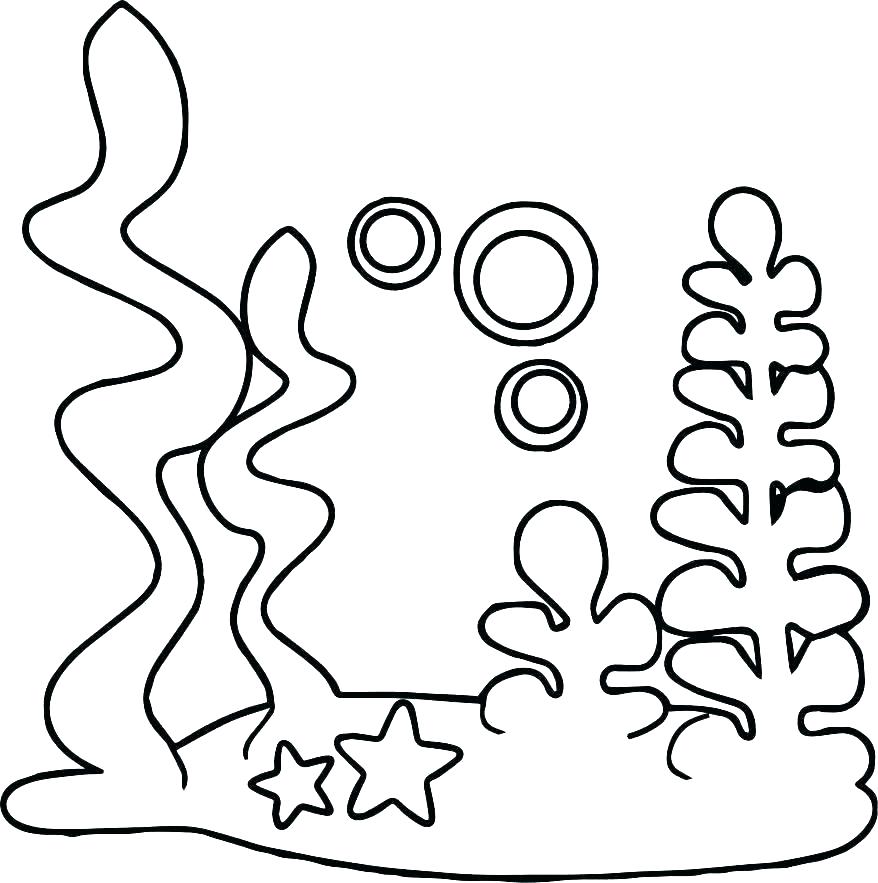 878x883 Ocean Animals Coloring Pages Icontent