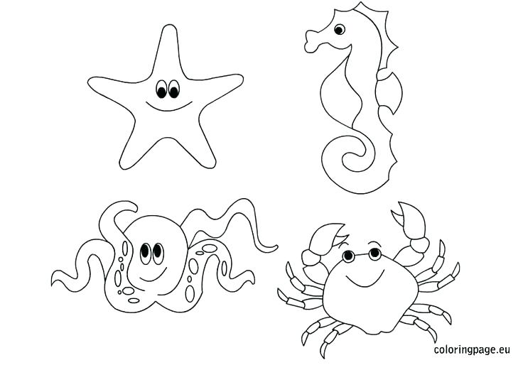 736x514 Sea Serpent Coloring Pages Impair.co