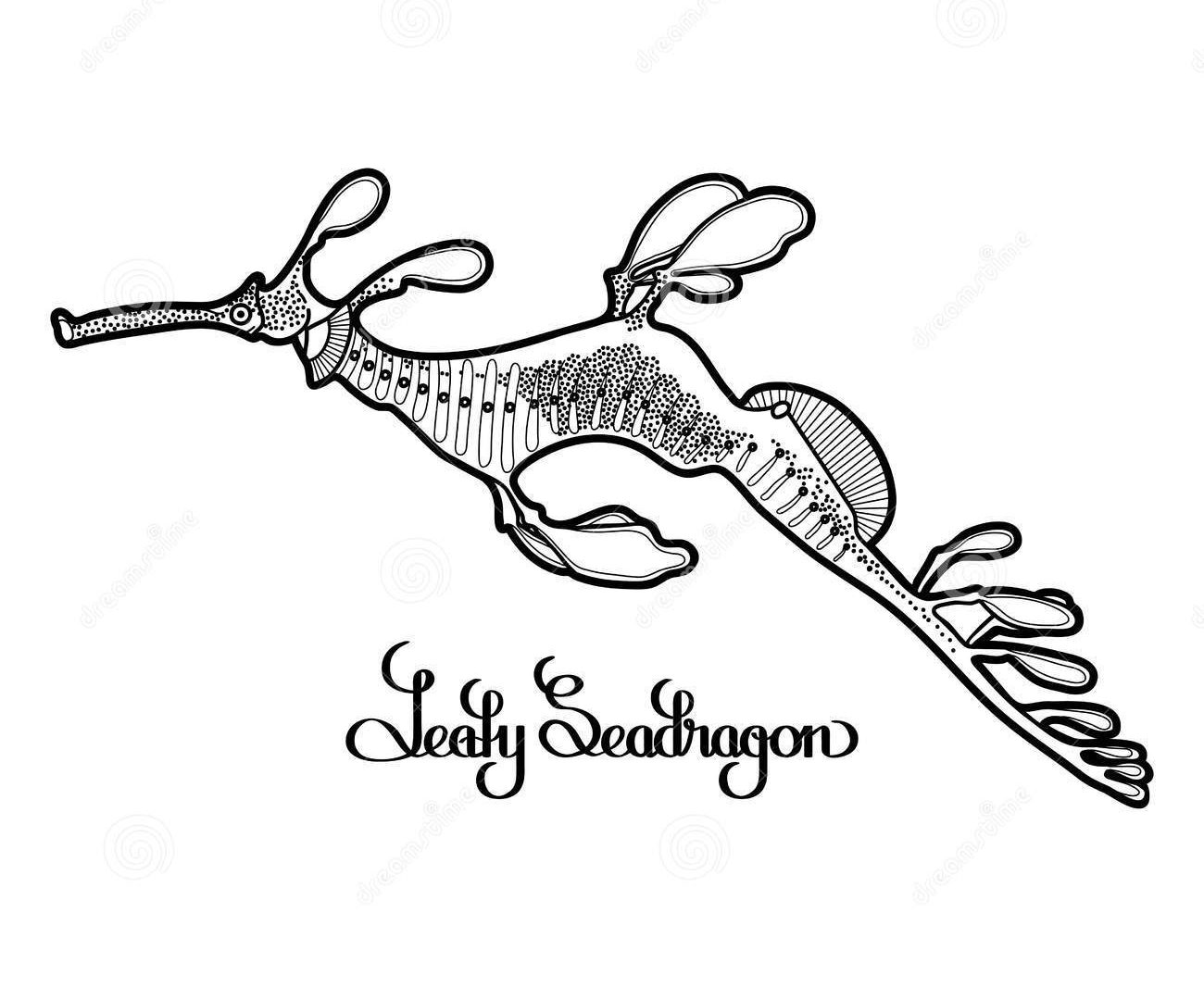 1300x1080 Coloring For Kids Leafy Sea Dragon Pages General Printable