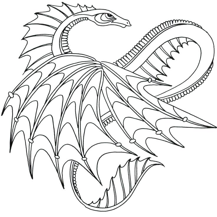 736x736 Sea Dragon Coloring Pages Drag Sea Dragon Coloring Sheets