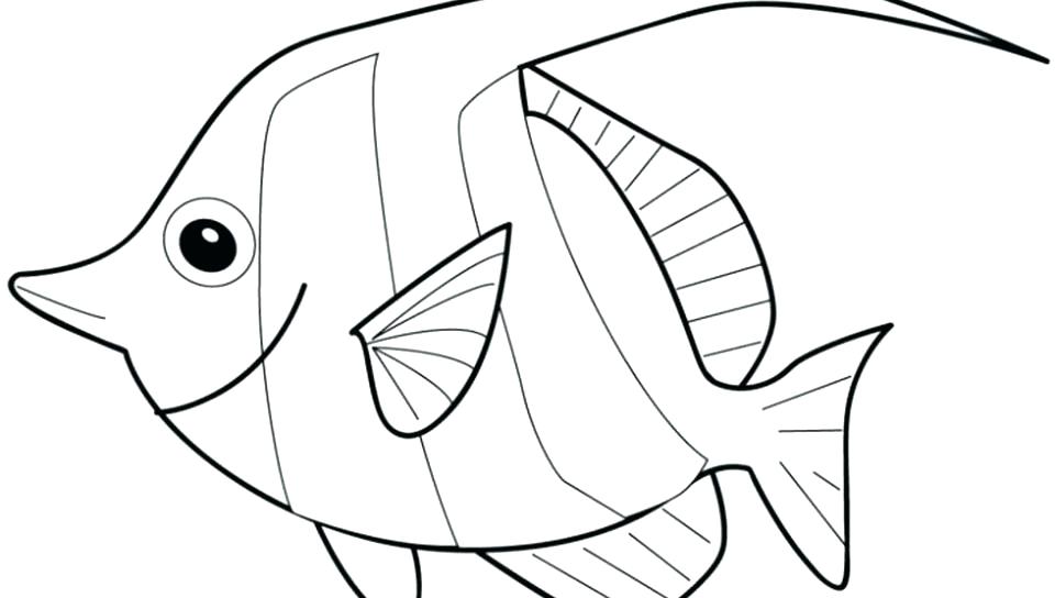 960x544 Fish Coloring Pages Print Fish Coloring Pages To Print Fish Fish
