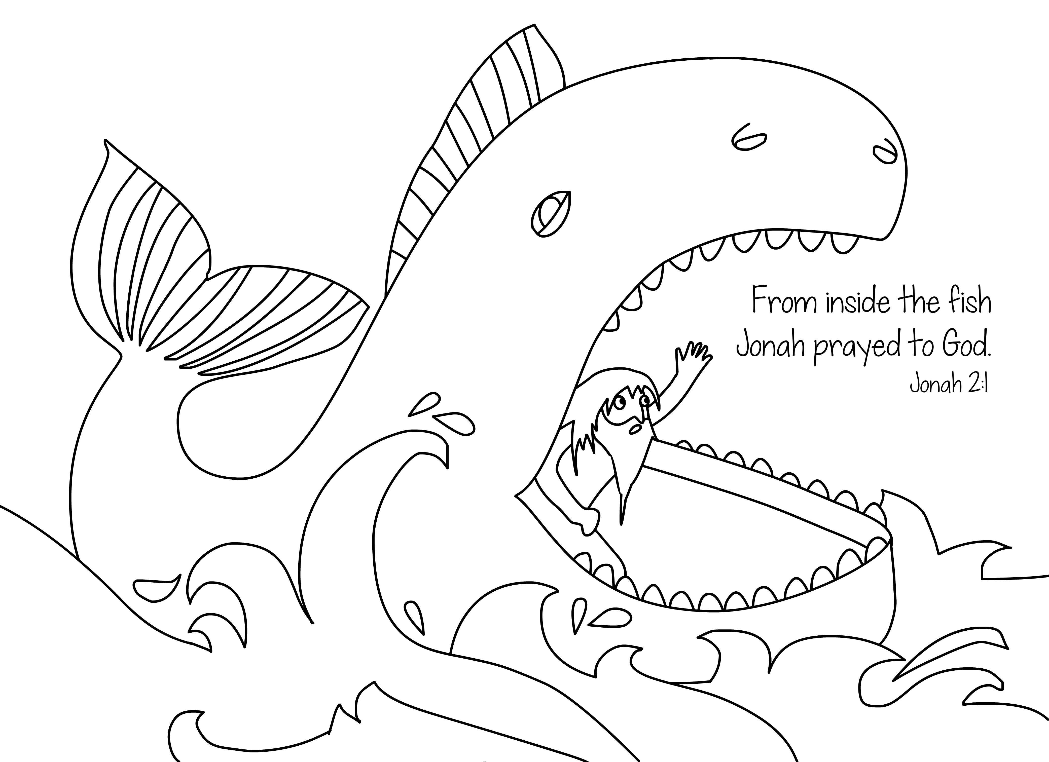 4167x3028 Sea Fish Coloring Pages Collection
