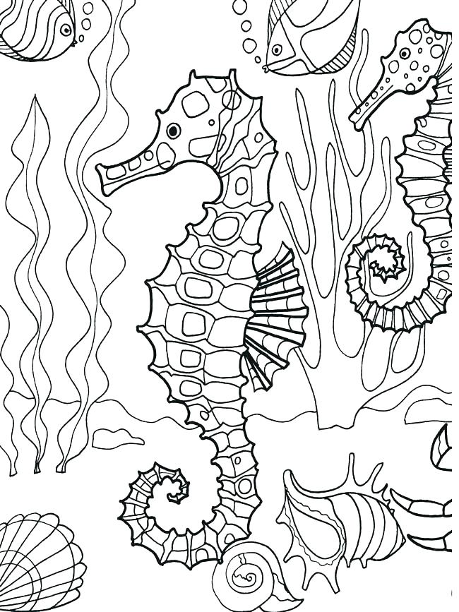 650x867 Ocean Creatures Coloring Pages Underwater Coloring Page Underwater