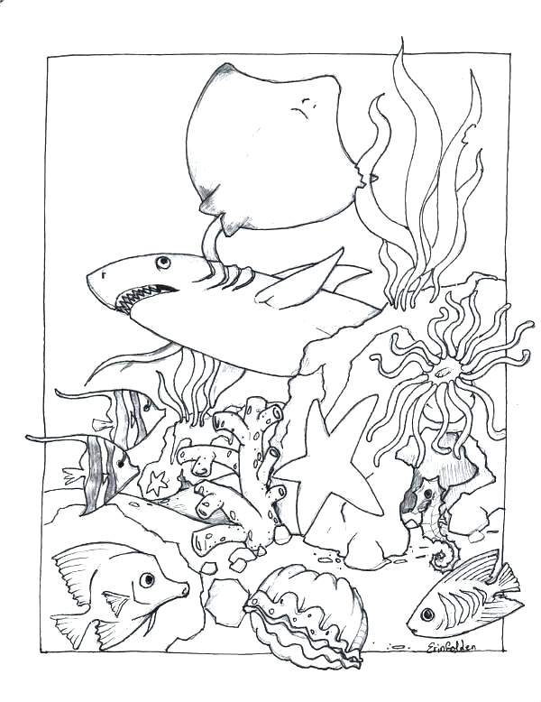600x778 Marine Corps Coloring Pages