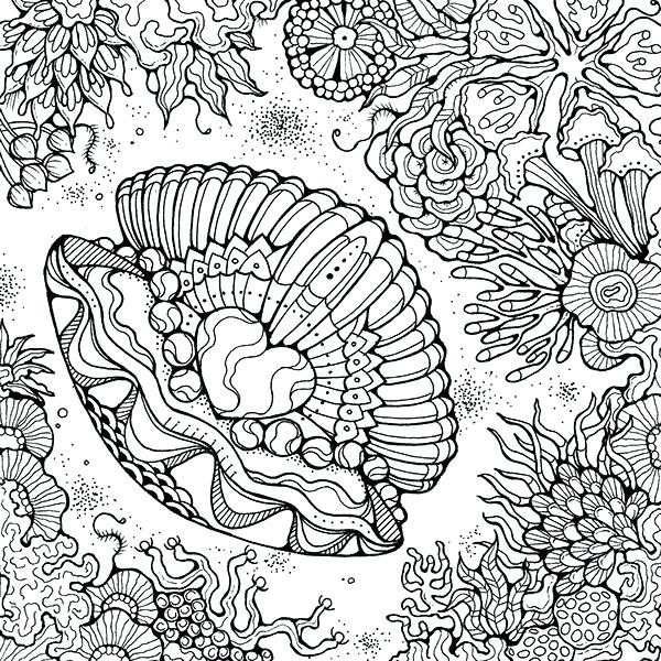 600x600 Free Sea Life Coloring Pages Best Seashells Images On Colouring