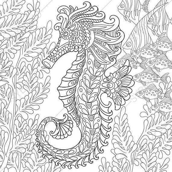 570x570 22 Best Ocean World Images On Coloring Books, Coloring