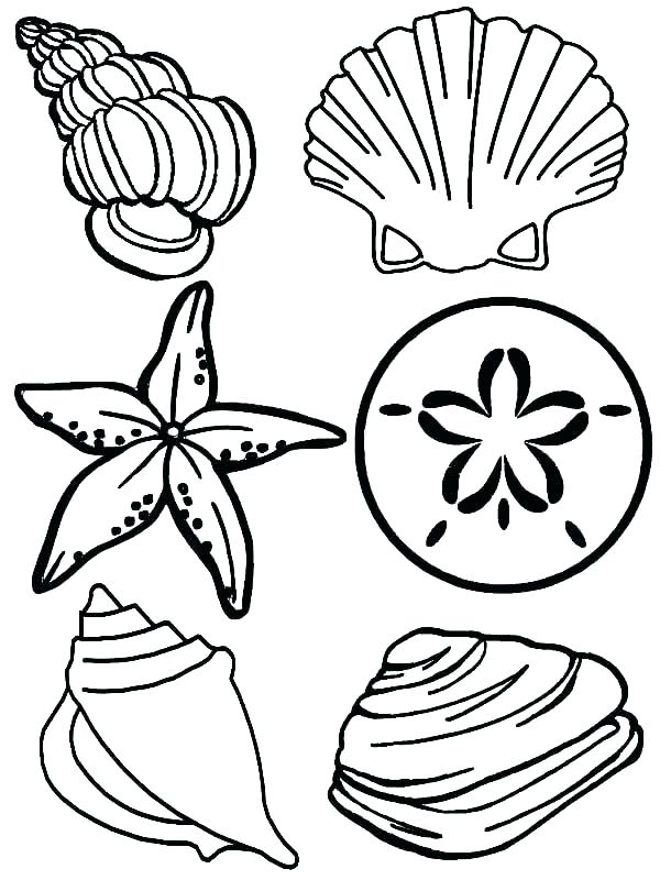 600x800 Coloring Pages Of Ocean Animals Coloring Pages Of Ocean Animals