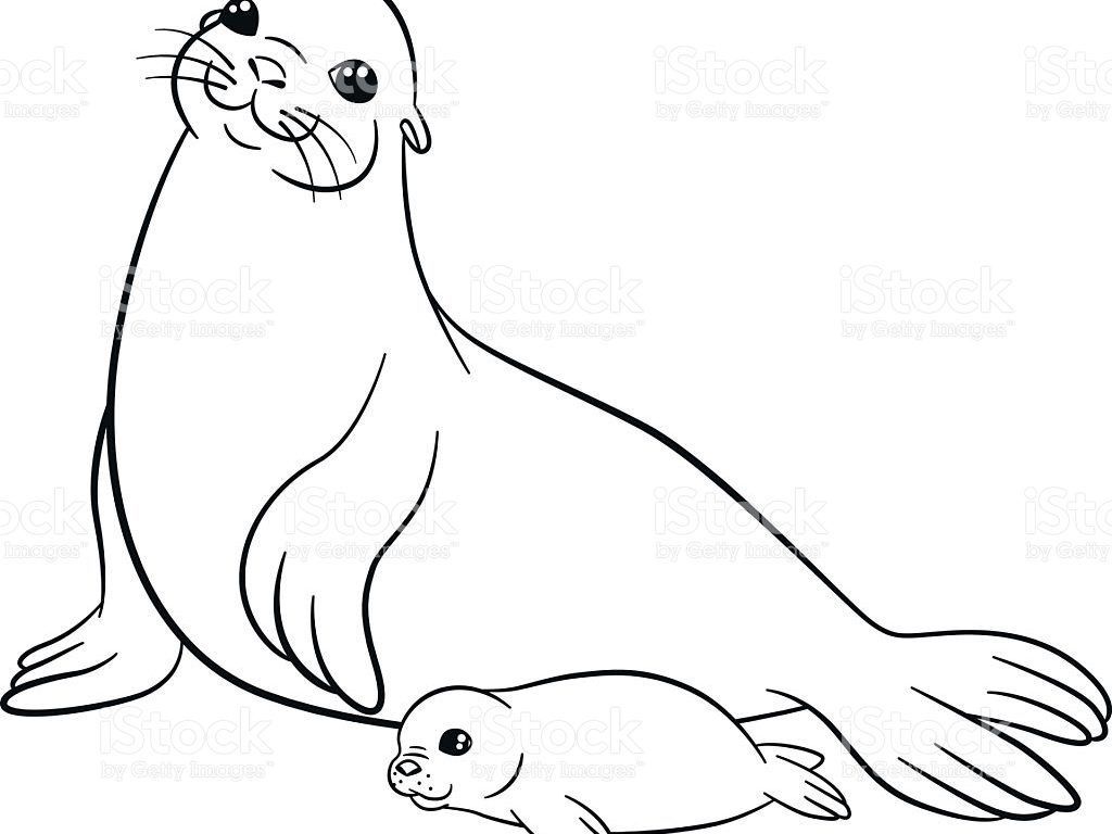 Sea Lion Coloring Page