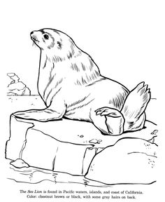 236x288 Not To Mention The Result Coloring Pages For Preschoolers Are