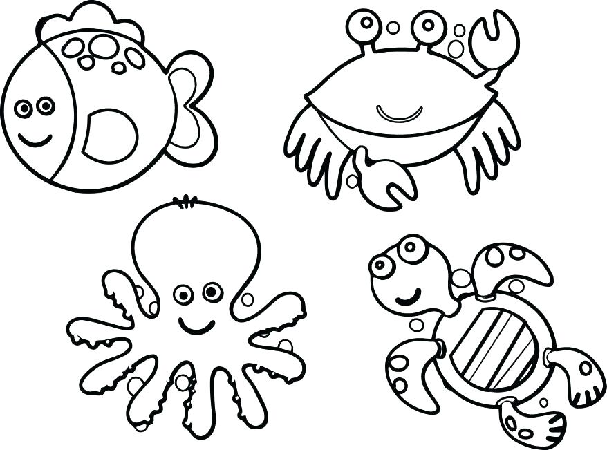 878x651 Outstanding Sea Lion Coloring Pages Realistic Deer Coloring Pages