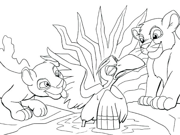 599x450 Coloring Page Lion Sea Lion Coloring Pages Lion Coloring Pages