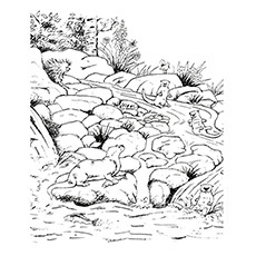 Sea Otter Coloring Page