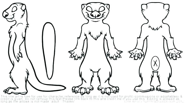 770x430 Sea Urchin Coloring Page Sea Otter Coloring Pages Harry Potter