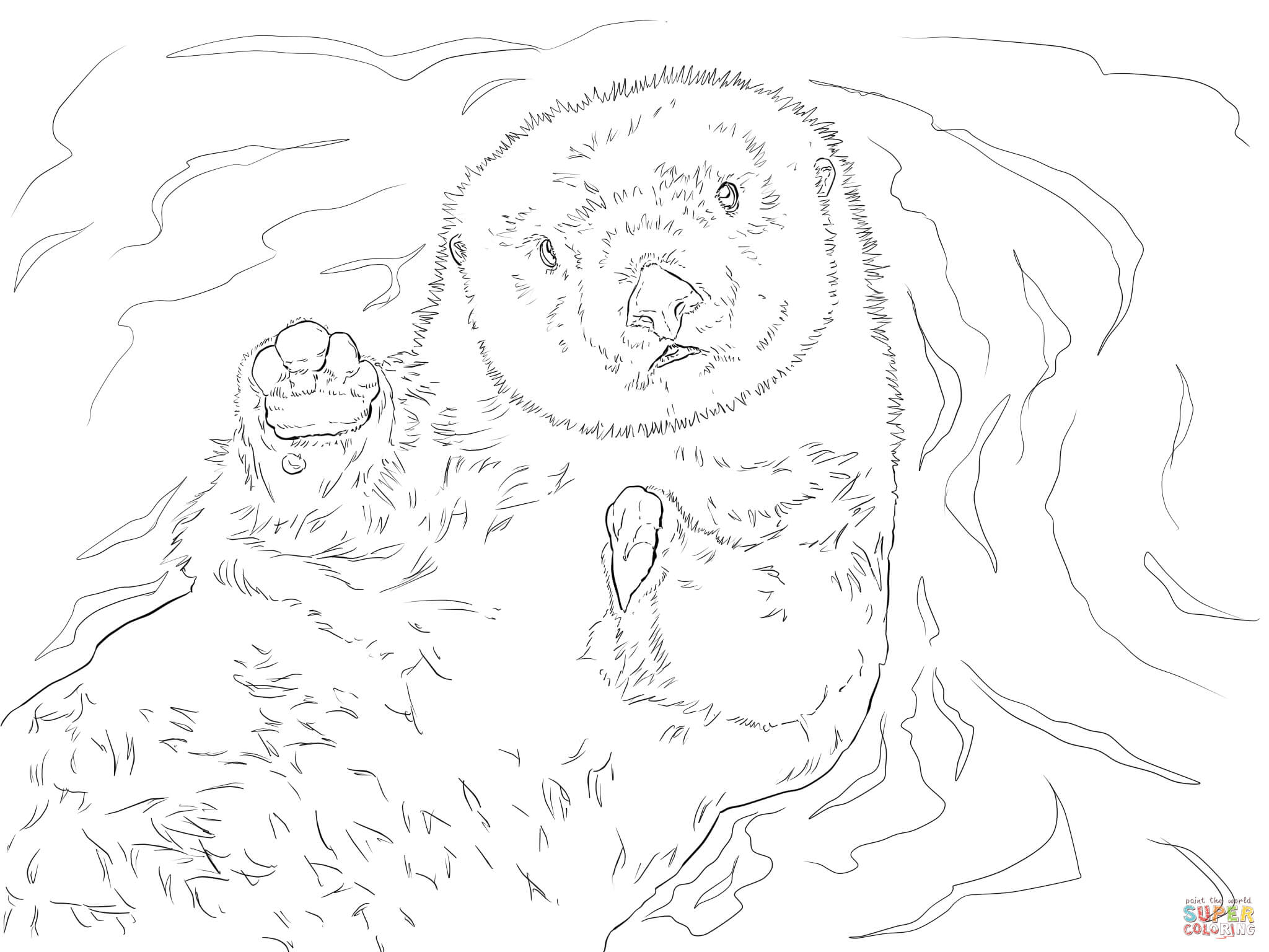2048x1536 Wonderful Sea Otter Coloring Page Cool Ideas P
