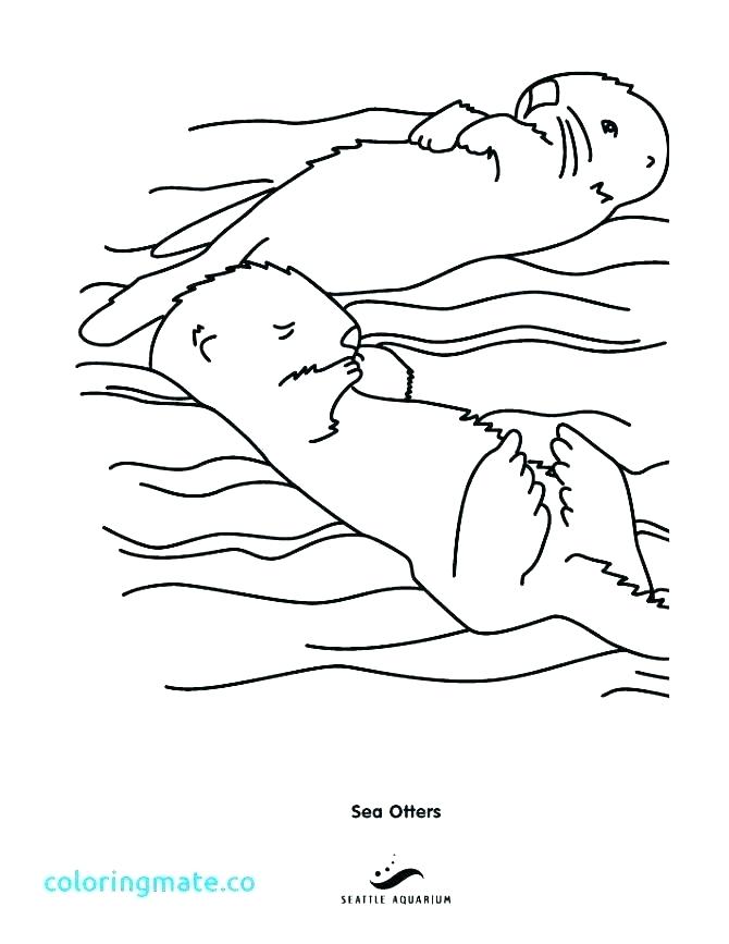 670x867 Otter Coloring Pages Cliptext.co