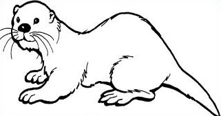 321x169 Free Coloring Pages Of White Otter