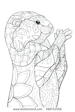 318x470 Otter Coloring Page Sea Otter Coloring Page Otter Coloring Page