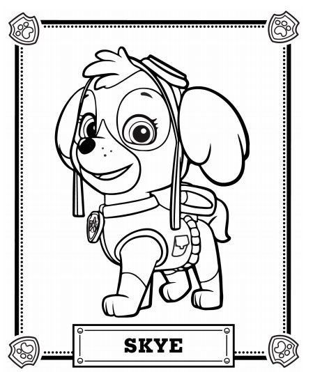 449x534 77 Best Paw Patrol Images On Paw Patrol, Paw Patrol