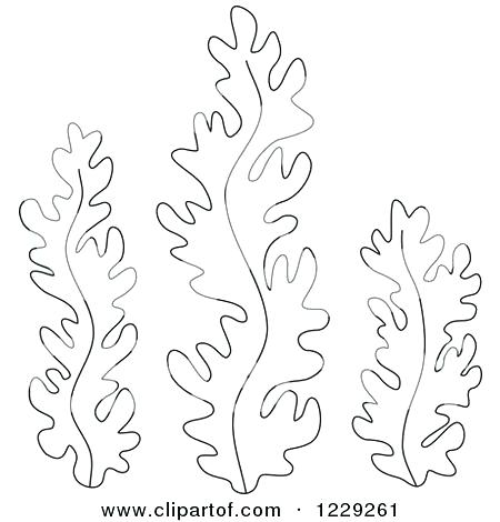 450x470 Plants Coloring Pages Ocean Plants Coloring Pages Amazing Coloring