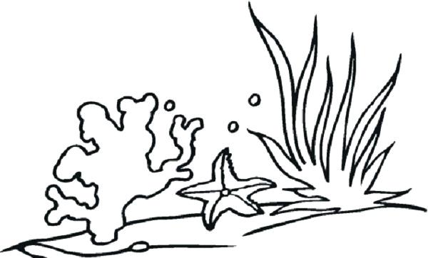 600x362 Plants Coloring Pages Sea Plants Coloring Pages Plants Vs Zombies