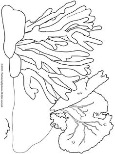236x314 Sea Plants Coloring Pages Fabulous Ocean Plants Coloring Pages