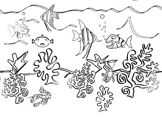 551x400 Coloring Pages Of Ocean Animals Sea Plants Coloring Pages Ocean
