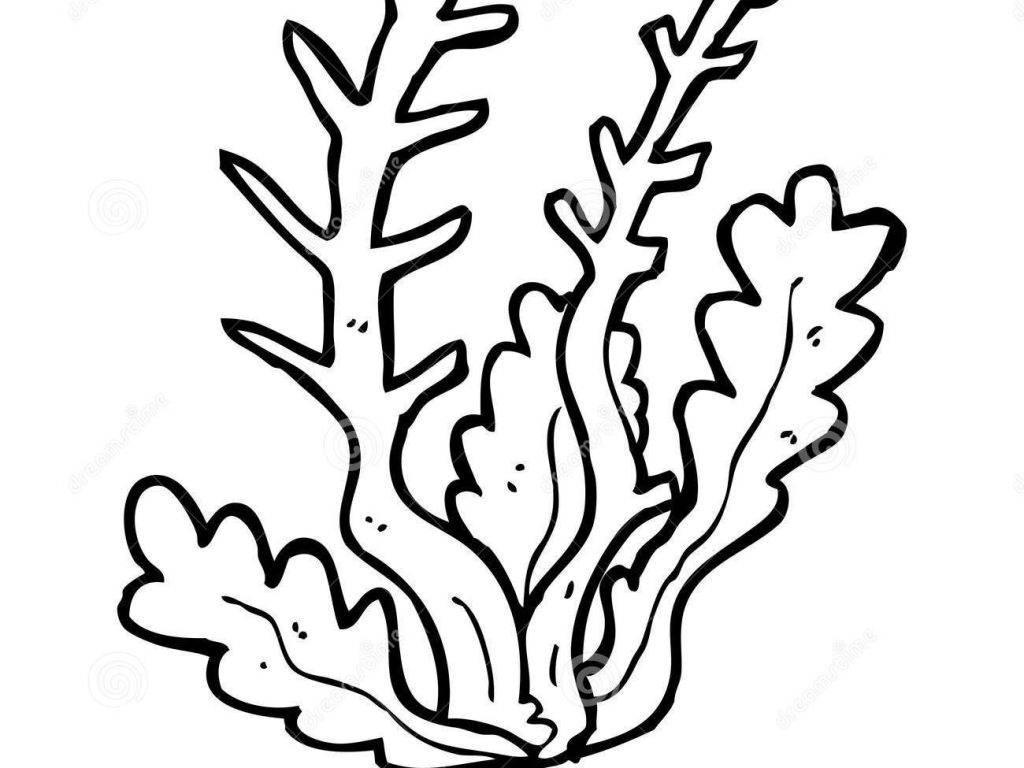 1024x768 New Sea Plants Coloring Pages Artsybarksy Lively