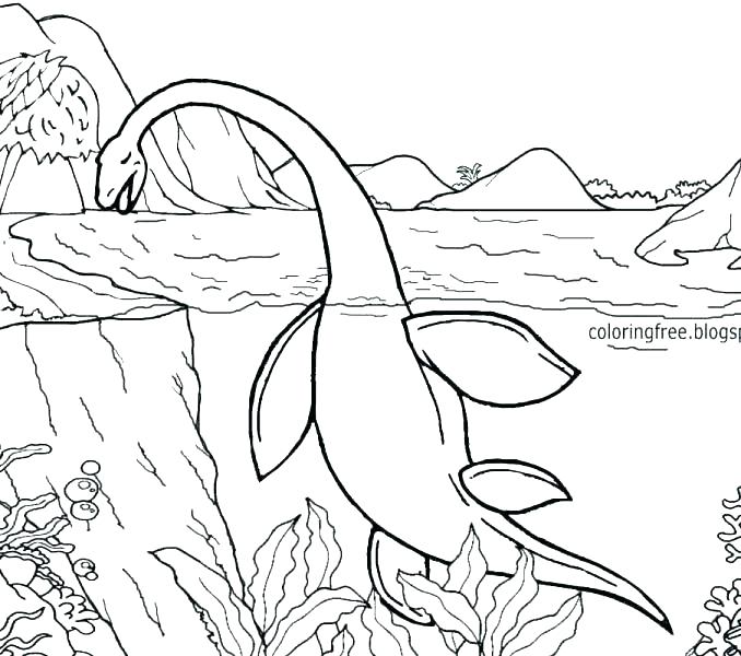 678x600 Sea Monster Coloring Pages Calledas.club