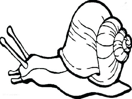 440x330 Snail Coloring Page The Snail Coloring Pages Coloring Pages Snail