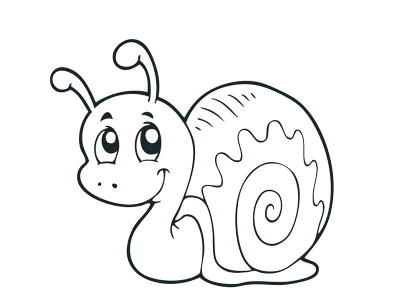 800x600 Snails Coloring Pages The Snail Grin Coloring Pages Slugs