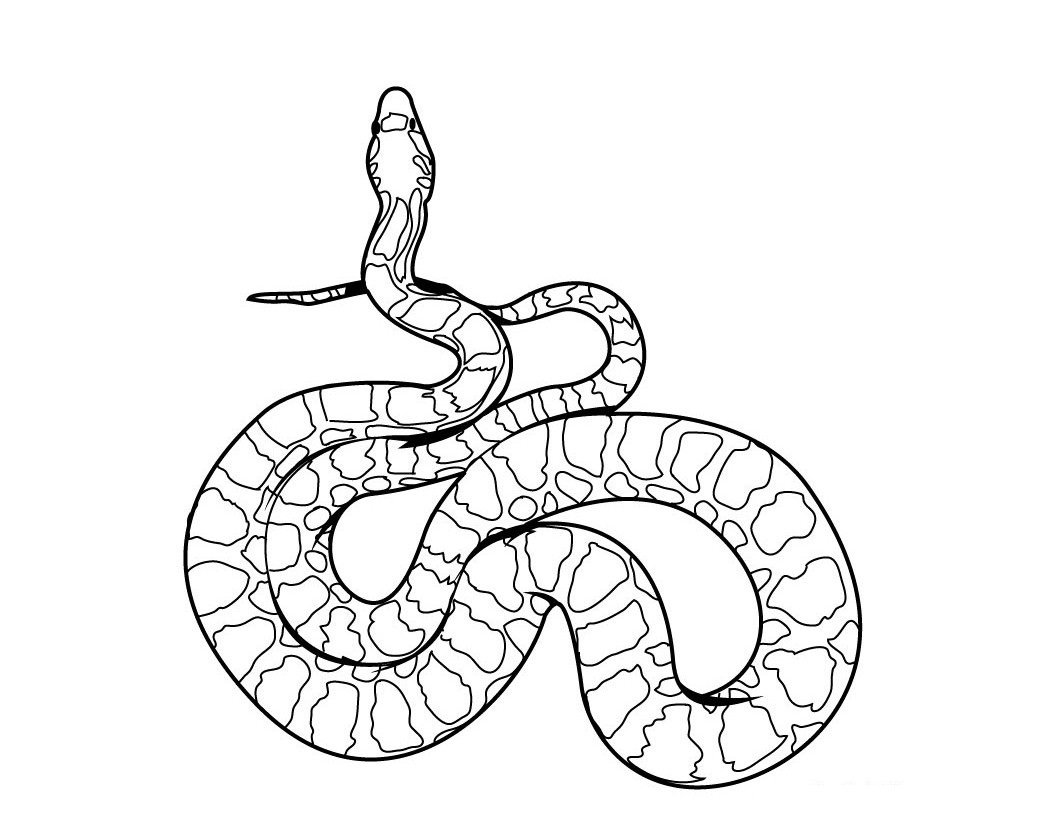 1060x820 Free Printable Snake Coloring Pages For Kids
