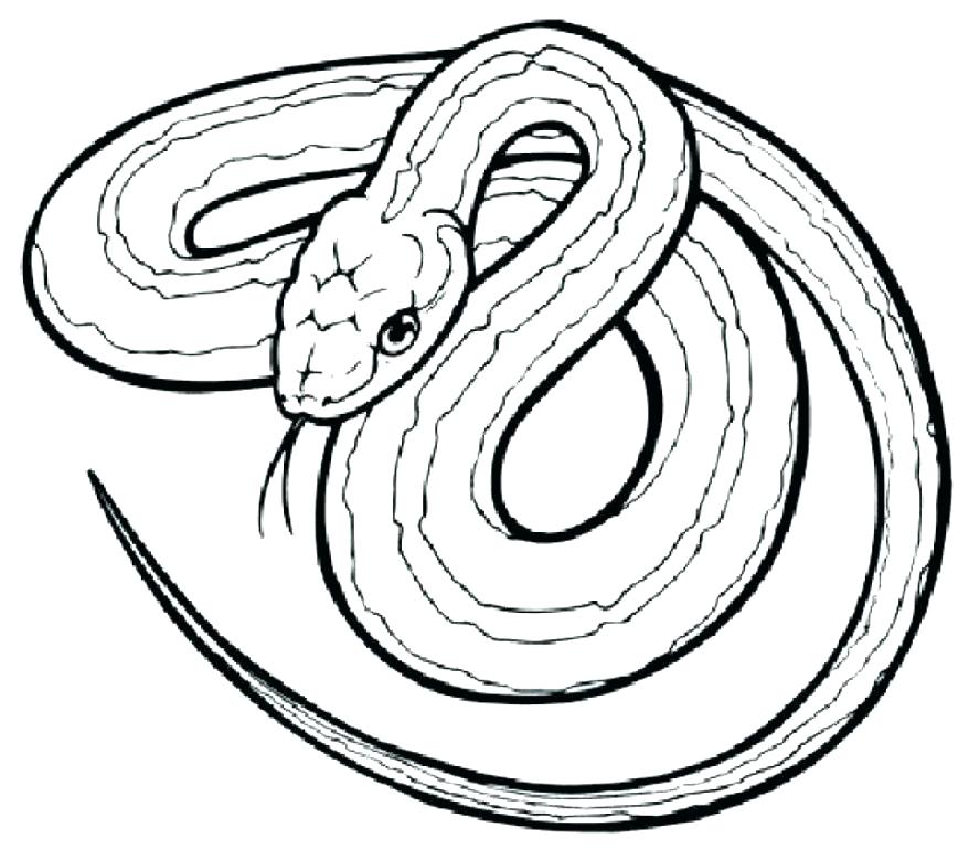 878x769 Sea Serpent Coloring Pages Fancy Snake Coloring Page In Coloring