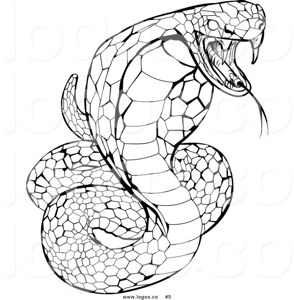 1004x1024 Black Racer Snakeng Pages Impressive Printable Colouring Free