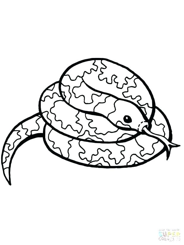 618x824 Boa Constrictor Coloring Page Anaconda Coloring Pages Green Boa