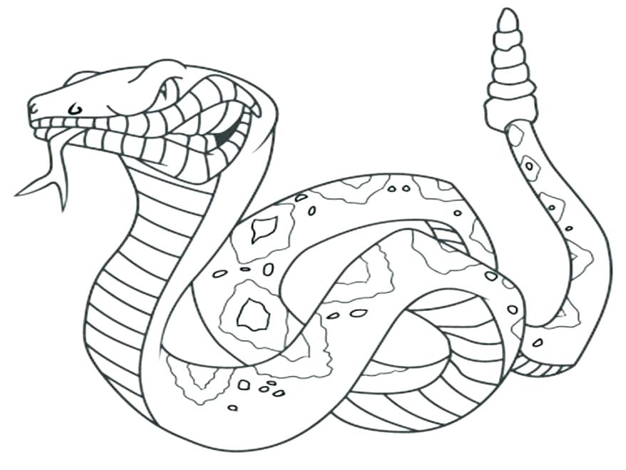 878x659 Snake Coloring Page Impair.co