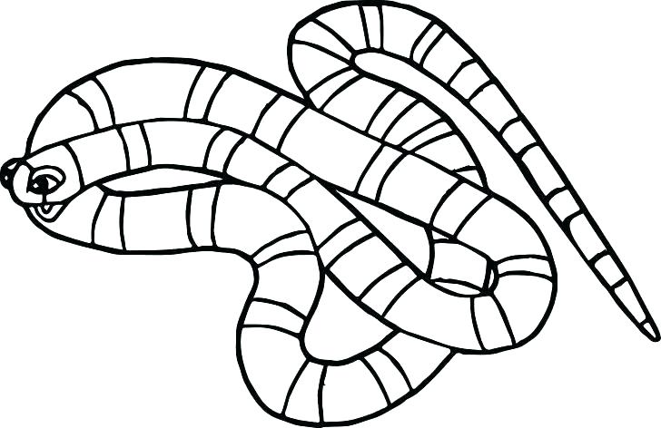 728x472 Boa Constrictor Coloring Page Cute Snake Coloring Pages Adult