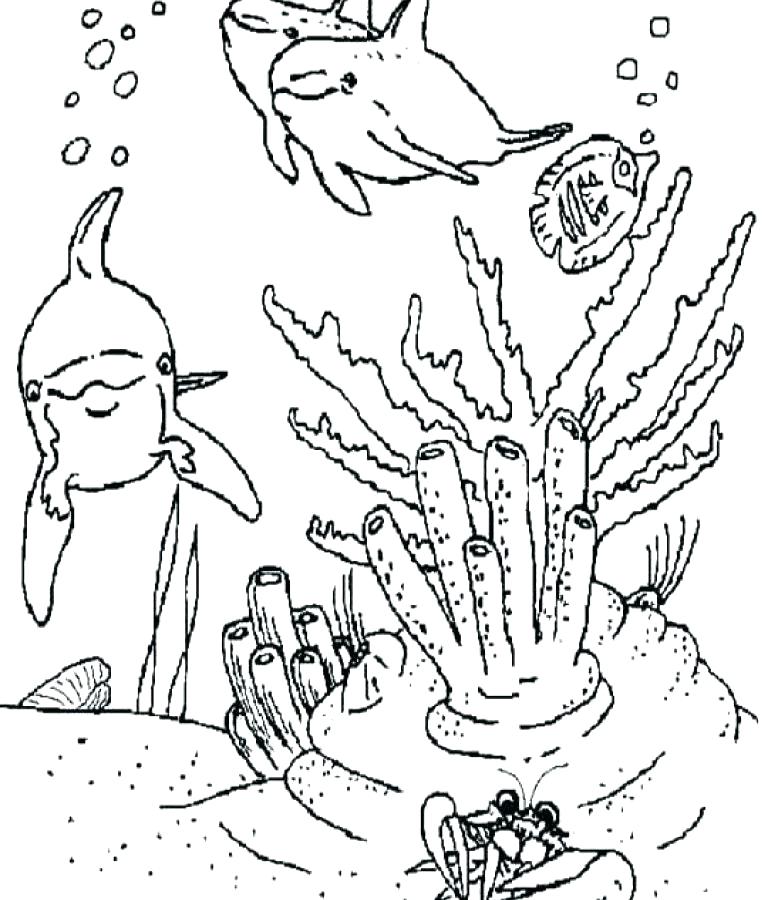 768x900 Ocean Habitat Coloring Pages Ocean Habitat Coloring Pages