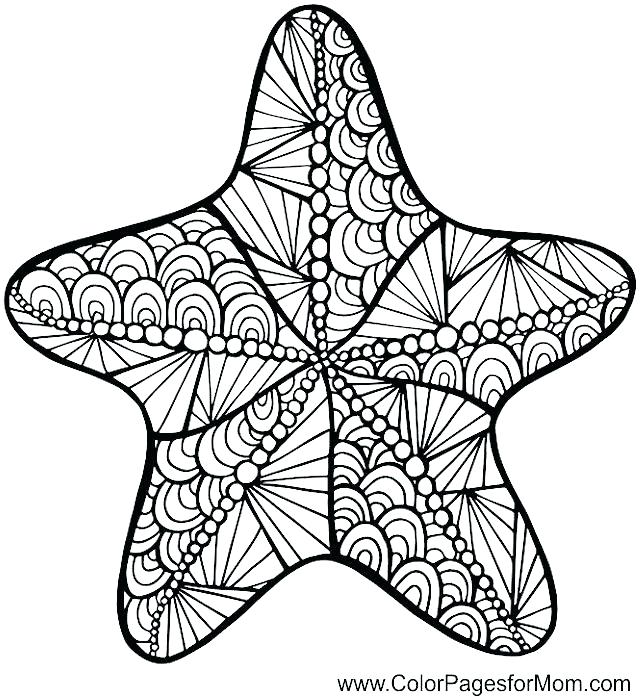 Sea Star Coloring Page